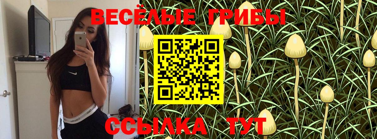 Псилоцибиновые грибы Cubensis  Галлюциногенные грибы прущие грибы  Ковров  Вход с VPN 